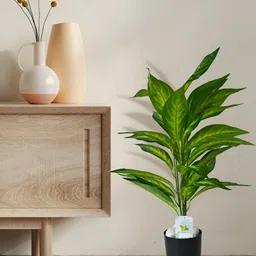 Blooming Floret Green Amoena Artificial Plant With Pot image 2