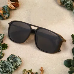 Ted Smith Unisex Grey Lens & Black Aviator Sunglasses with Polarised Lens-15