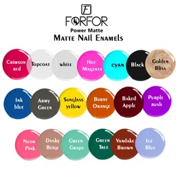 FORFOR Power Matte Set Of 12 Long Lasting  HD Colours Nail Polishes-6ml Each-Combo No. 16 image 3