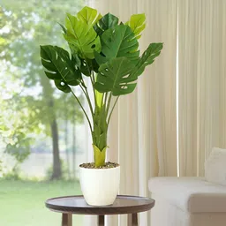 The Better Home Green & White  Artificial Plants With Pot image 1