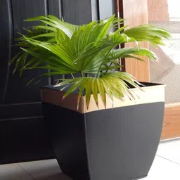 ecofynd Black 2 Pieces Midland Large Metal Planter Pots-16