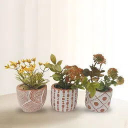 Ekhasa Green 3 Pieces Artificial Plant With Pot-image-19