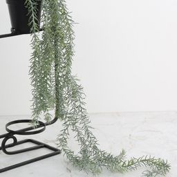 Home Centre Green & Black Gardenia Hanging Fern in Pot-image-72