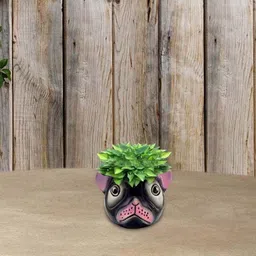 Garden Deco Black  Bruno Ceramic Pot-25