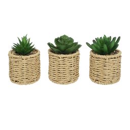 Anko Beige 3-Pieces Artificial Succulents Plants In Rattan Look Pot-picture-2
