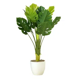 The Better Home Green & White  Artificial Plants With Pot image 2