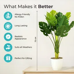The Better Home Green & White  Artificial Plants With Pot image 3