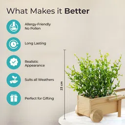 The Better Home Green 2 Pieces Artificial Plants With Pot image 3
