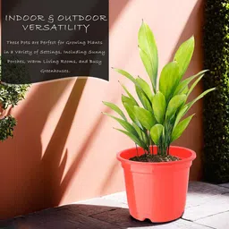 Kuber Industries Set Of 12 Red & Black Planter With Pot image 3