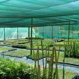 HOME BUY Garden Green Shade Net Green House Uv Stabilized Agro Netting Farming Net Terrace Gardening 50% UV Shade Net 5x10 Meters (16ftx32ft) image 2