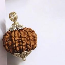 astro cart बारह मुखी रुद्राक्ष 12 Mukhi Nepal Rudraksha Precious Barah Mukhii Rudrakshaa Twelve Mukh Rudraksh Original Certified 12 मुखी रुद्राक्ष ओरिजनल 12 Twelve Face Rudrakshas Pyayer Bead For Puja image 2