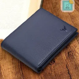 NAPA HIDE Men Blue Solid Leather Two Fold Wallet with RFID-picture-49