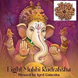 Astro Cart 8 Face Nepal Rudraksha Natural 8 Mukhi Rudraksha Pendent 8 मुखी रुद्राक्ष ओरिजिनल आठ मुखी नेपाळी रुद्राक्ष Eight Mukhi Rudraksha Real Aath Ashta Mukhi Rudraksha Original Certified image 4