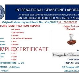 astro cart Twelve Face Rudraksha Java Bead 12 Mukhi Indonesia Rudraksh Original बारह मुखी रुद्राक्ष Barah Mukhi Rudrakshaa With Certificate 12 Face Rudrakshas Pendant For Men image 3