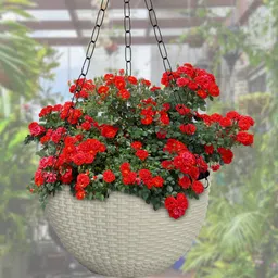 Kuber Industries White Set of 7 Large Plastic Hanging Flower Pots-23