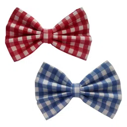 ONE on ONE Set of 2 Checked Alligator Hair Clip-5