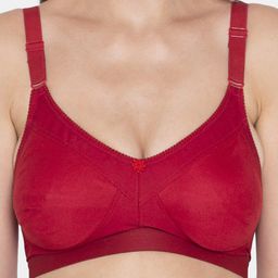 Souminie Red & Red Solid Seamless Bra image 5
