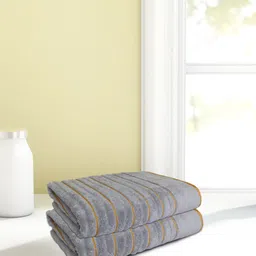 SPACES Silver-Toned Set Of 2 Ribbed Pure Cotton 575 GSM Hand Towels-image-42