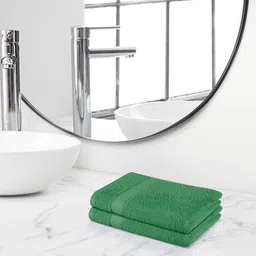 Himeya Sea Green-Colored 2 Pieces Terry Cotton 450 GSM Hand Towel-picture-27