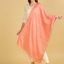 Dupatta Bazaar Striped Cotton Silk Sequinned Dupatta-2