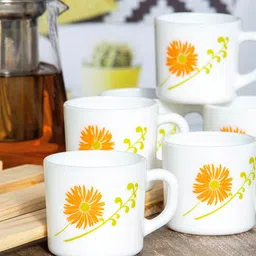 Cello White & Orange Orange Orange Floral Printed Opalware Glossy Cups Set of Cups and Mugs-image-61