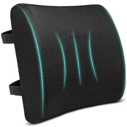 SLEEPSIA Gel Memory Foam Orthopedic Lumbar Support Backrest Pillow-picture-0