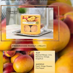 YANKEE CANDLE Orange-Colored Solid Mango & Peach Scented Tealights Candle image 2
