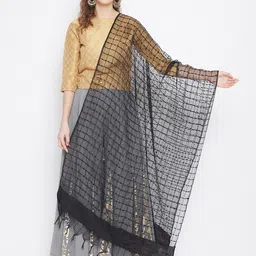 Clora Creation Sequinned Checked Organza Dupatta With Tasselled Border-9