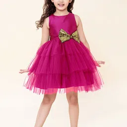 A T U N Fuchsia & Gold-Toned Embellished Net Dress-picture-2