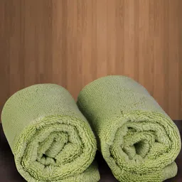 Signature Matrix Zero Twist Green 2-Pcs Pure Cotton Hand Towels-86