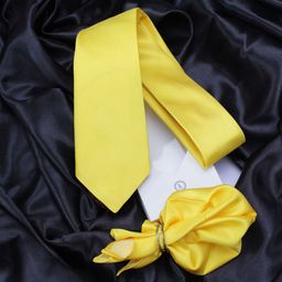 KOVOVE Men Yellow Solid Neck Tie & Pocket Square Accessory Gift Set-image-49