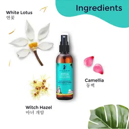 Pilgrim Set of Secrets of Jeju Island Face Toner-Skin Clarifying Serum & Face Mask image 3
