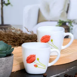 Cello White & Orange 6Pcs Printed Opalware Glossy Cups 100ml Each image 3