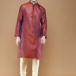 Sanwara Ethnic Motifs Woven Design Regular Kurta with Pyjamas-picture-10