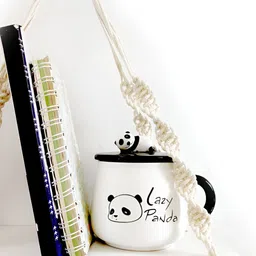 VAH Kya Bat Hai !! Wood Rope Wall Plant Shelves-image-77