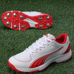Puma Unisex PUMA Spike 24.2 Cricket Shoes-15