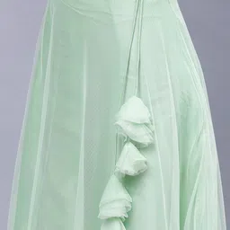 Frolic Rolic Sheer Net Flared Maxi Skirt image 2