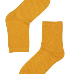 TOFFCRAFT Men Mustard Solid Above Ankle Length Crew Socks-57
