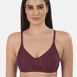 mod & shy Pack Of 3 Assorted Bra image 5