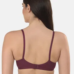 mod & shy Pack Of 3 Assorted Bra image 4