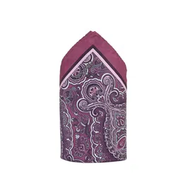 Allen Solly Printed Pocket Squares-21