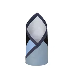 Louis Philippe Men Colourblocked Pocket Squares-picture-17