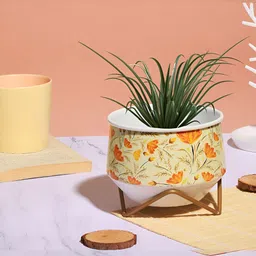Homspurts White Floral Printed Planter with Stand-image-37