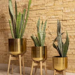 green girgit Gold Solid Stainless Steel Planters With Wooden Stands-image-8