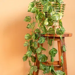 BS AMOR Green Set Of 10 Strings Artificial Money Plant Creepers With Leaves-31