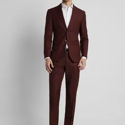 Peter England Elite Slim Fit Single-Breasted Formal Two Piece Suit-picture-48