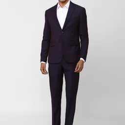 Peter England Elite Textured Single-Breasted Slim-Fit 2-Piece Formal Suit-21