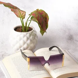 HAUTE SAUCE by Campus Sutra Women Purple Lens & Purple Oversized Sunglasses with Polarised Lens-picture-55
