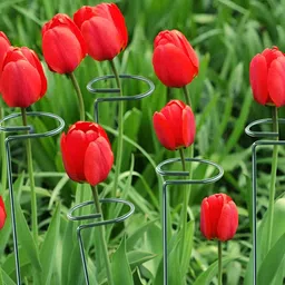 ecofynd Green 5 Pieces Metal Plant Stakes-47