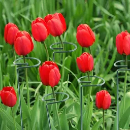 ecofynd Green 3 Pieces Metal Plant Stakes-55